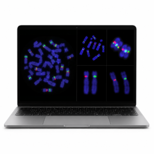 laptop image