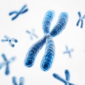chromosome image