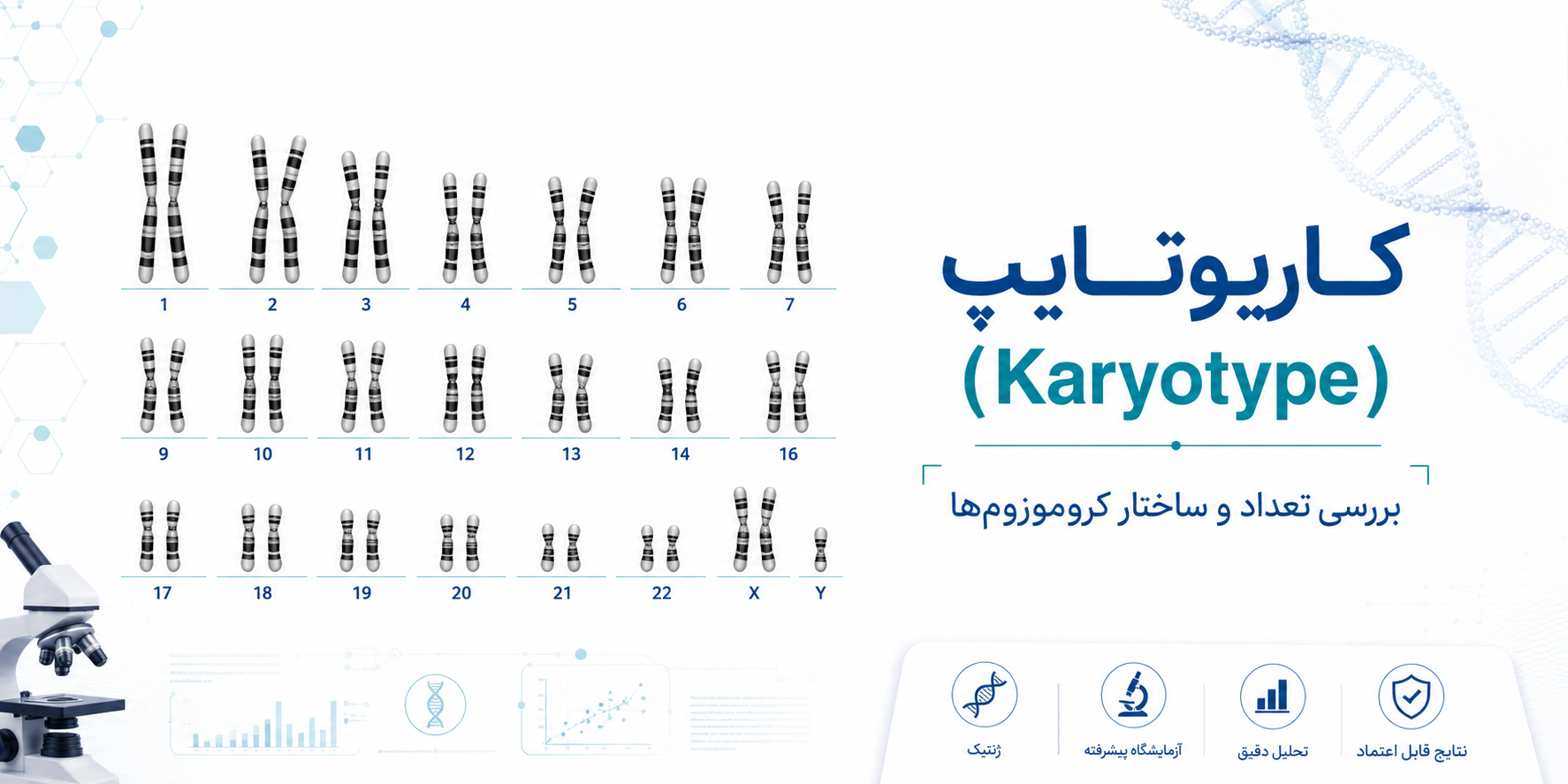 کاریوتایپ یا Karyotype برای بررسی تعداد و ساختار کروموزوم‌ها